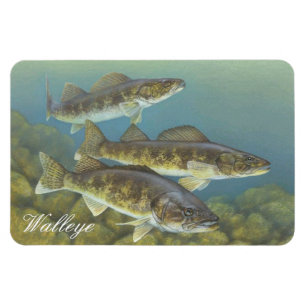 Flexible Magnet de peinture de Walleye