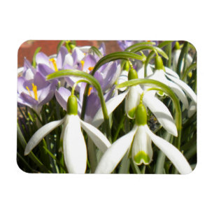Flexible Magnet de printemps de Bloomin