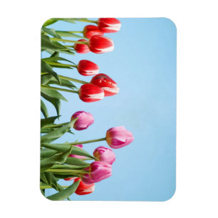 Flexible Magnet de tulipes de ressort