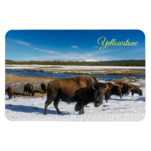 Flexible Magnet de Yellowstone