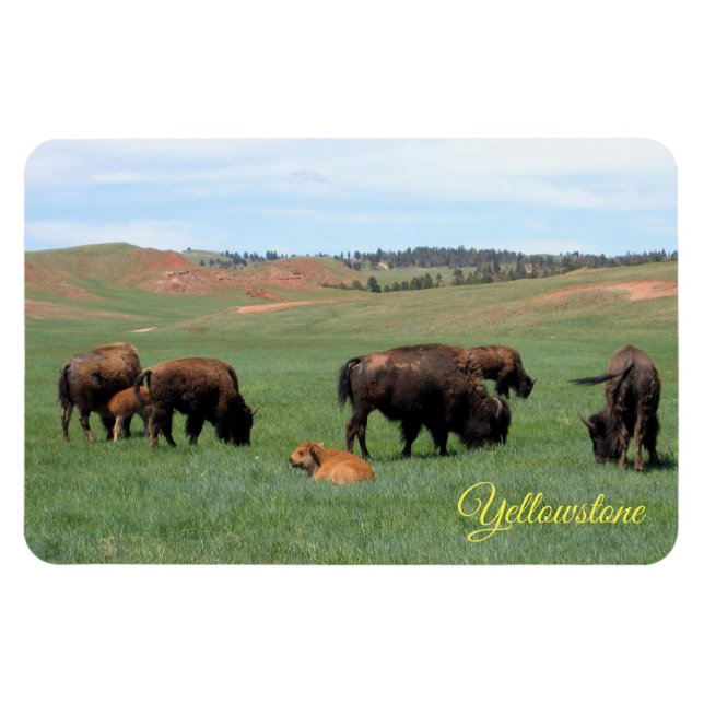 Flexible Magnet de Yellowstone (Horizontal)