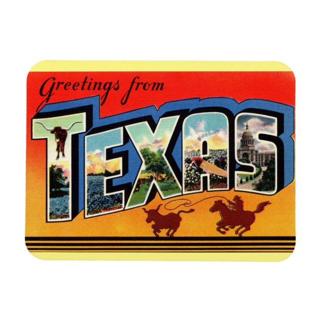 Flexible Magnet d'état du Texas (Horizontal)