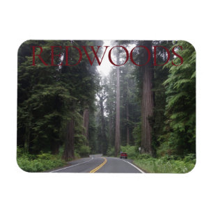 Flexible Magnet du parc national Redwoods