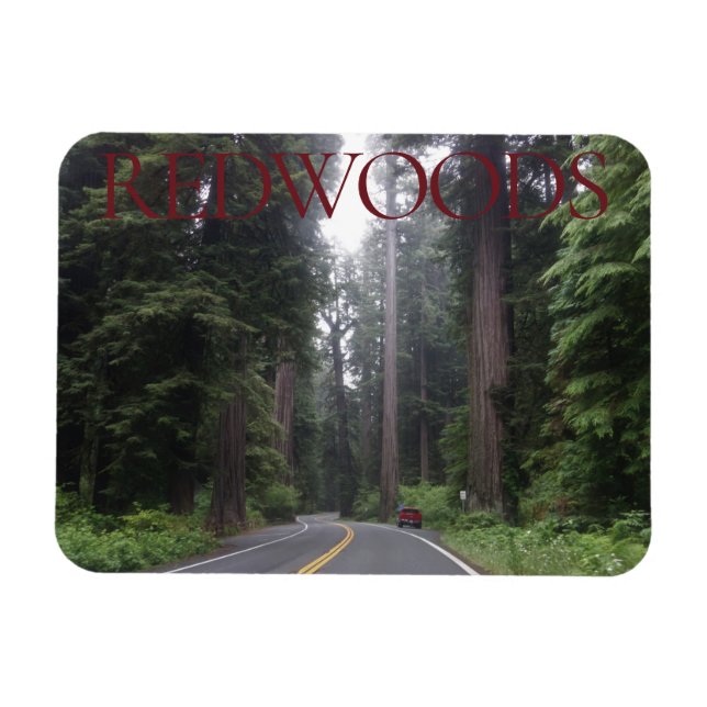 Flexible Magnet du parc national Redwoods (Horizontal)