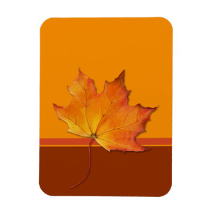 Flexible Magnet Flexi orange Feuille d'érable