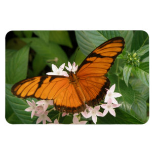 Flexible Magnet Flexi Papillon Julia orange