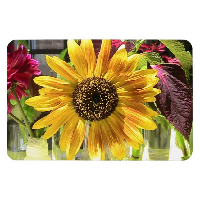 Flexible Magnet Flexi Premium de tournesol (Horizontal)