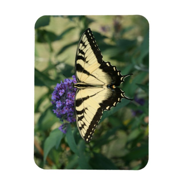 Flexible Magnet papillon parfaitement aligné (Vertical)