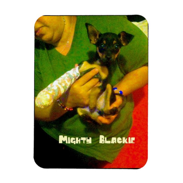 Flexible Magnet photo Chihuahua (Vertical)