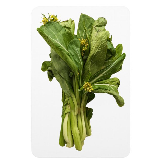 Flexible Magnet photo Choy Sum (Vertical)