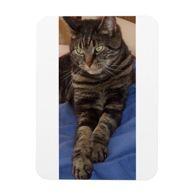 Flexible Magnet photo de Regal Dave 3"x4" (Vertical)