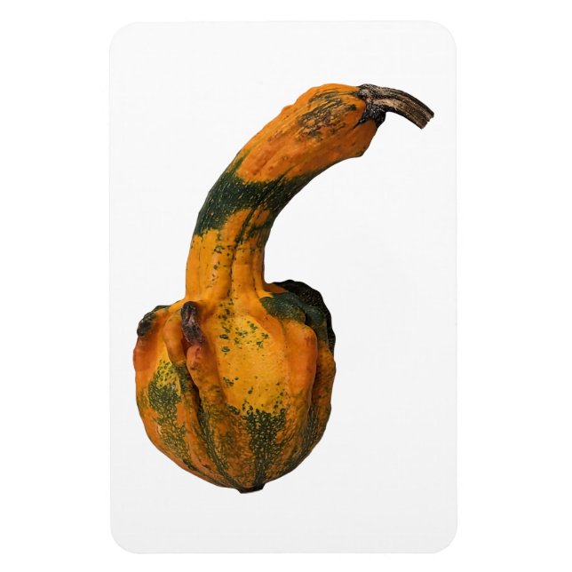 Flexible Magnet photo gourd (Vertical)