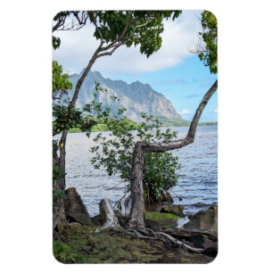 Flexible Magnet photo Hawaiian Coastal View