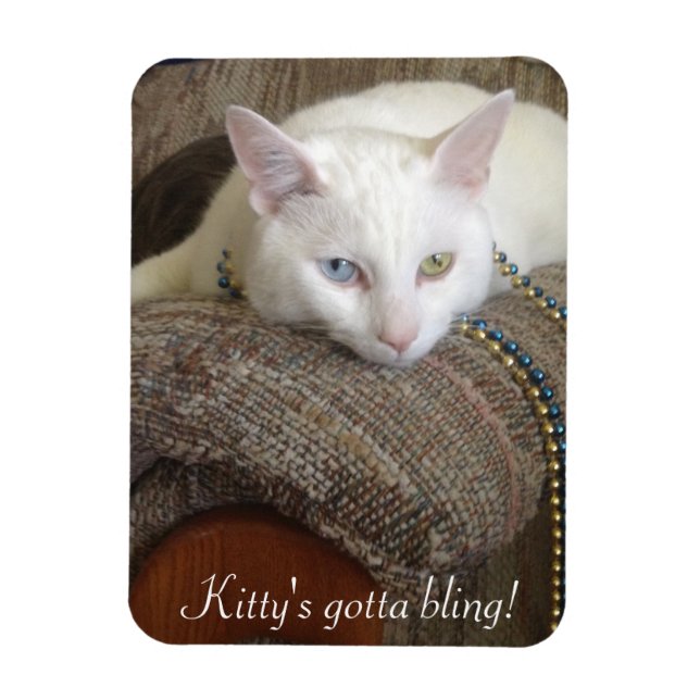 Flexible Magnet photo Kitty Bling (Vertical)