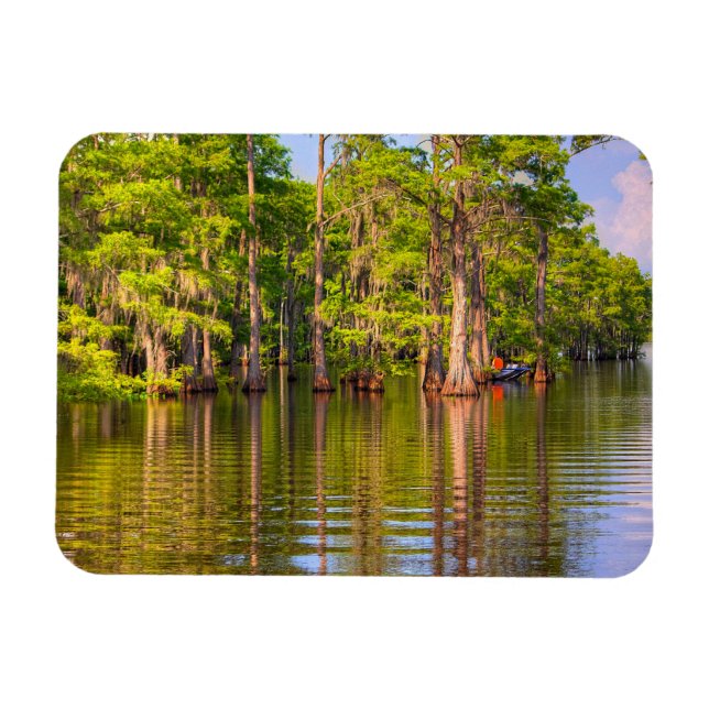 Flexible Magnet photo Louisiana Bayou (Horizontal)