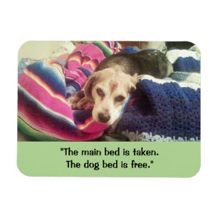 Flexible Magnet photo "Main Bed Taked / Dog Bed Free" 3x4