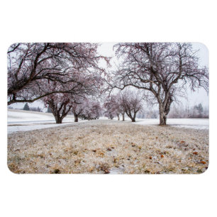 Flexible Magnet plat 4x6