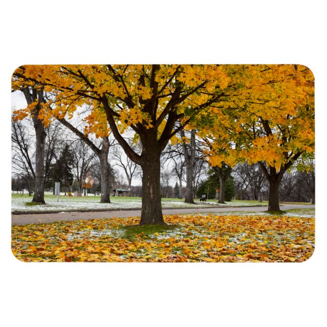 Flexible Magnet plat 4x6 (Horizontal)