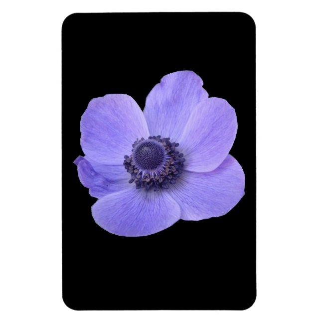 Flexible Magnet Premium Anemone bleu (Vertical)