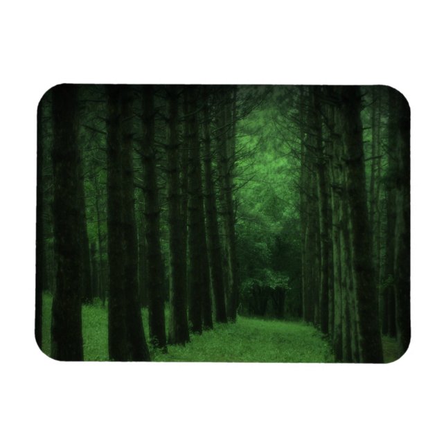Flexible Magnet Premium Forêt enchantée (Horizontal)