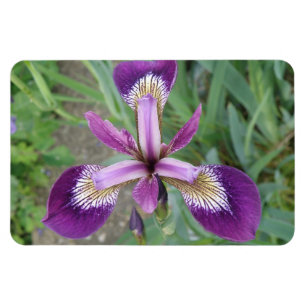 Flexible Magnet Premium Iris violet