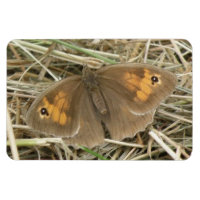 Magnet Premium pour Papillon blanc Brown pour femm