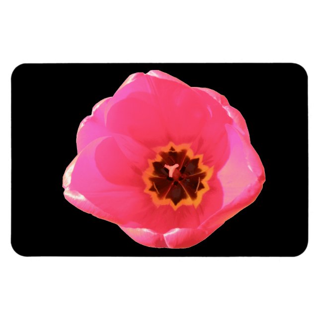 Flexible Magnet Premium Tulip rose (Horizontal)