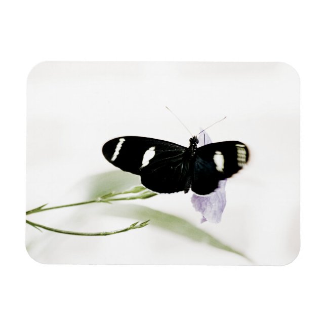 Flexible Magnet Sara Premium (Horizontal)