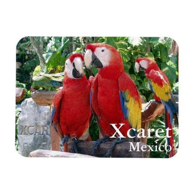 Flexible Magnet Scarlet Macaws (Horizontal)