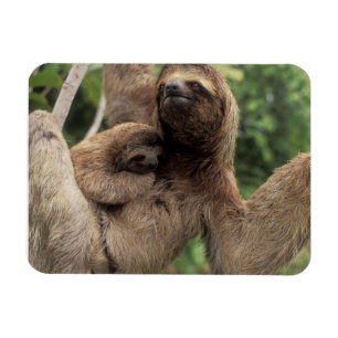 Flexible Mama Sloth Et Baby Magnet