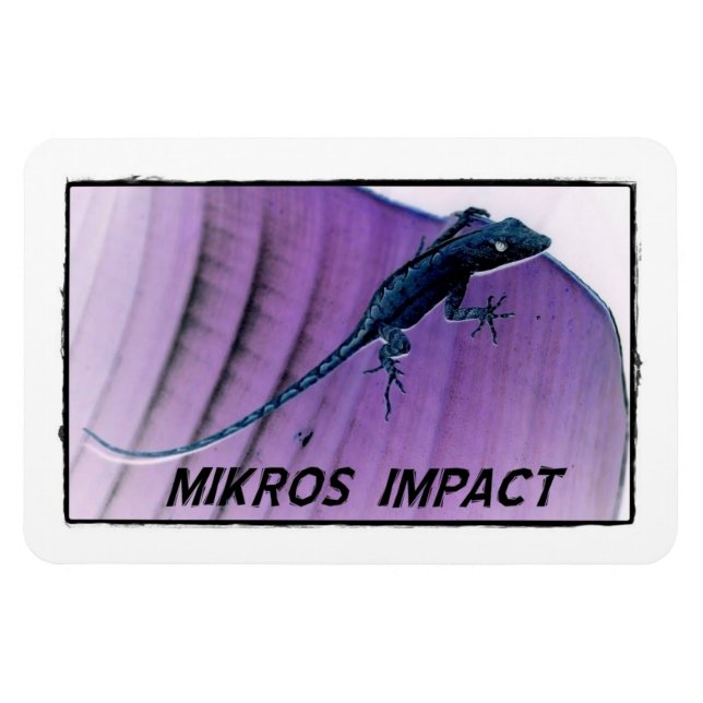 FLEXIBLE MIKROS IMPACT LIZARD FLEXI MAGNET (Horizontal)