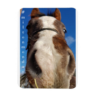 Flexible Milton Monday Magnet