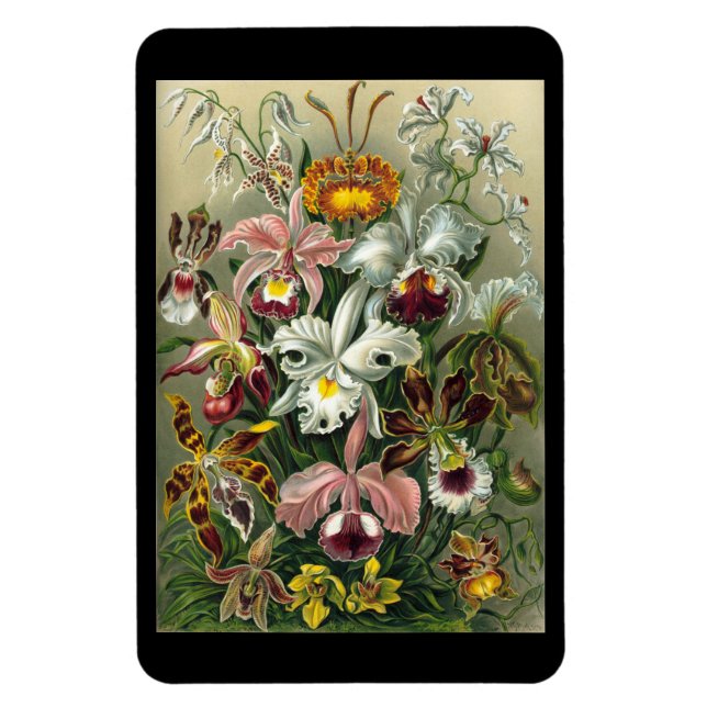 Flexible "Orchidae" par Ernst Haeckel Magnet (Vertical)