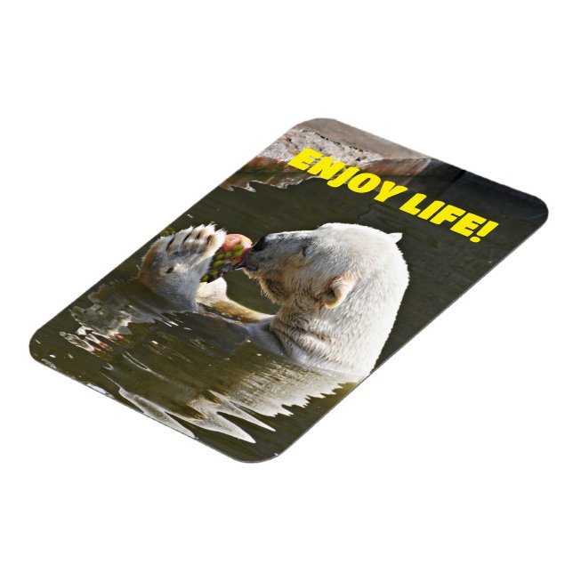 Flexible Ours Polaire Mangeant des Fruits dans l'Eau Magnet (Côté Gauche)