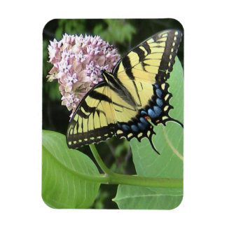 Flexible Papillon à queue jaune Flexi Magnet