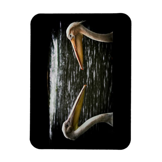 FLEXIBLE PELICANS LOVERS MAGNET (Vertical)