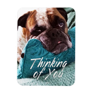 Flexible Penser à vous Bulldog Photo Magnet
