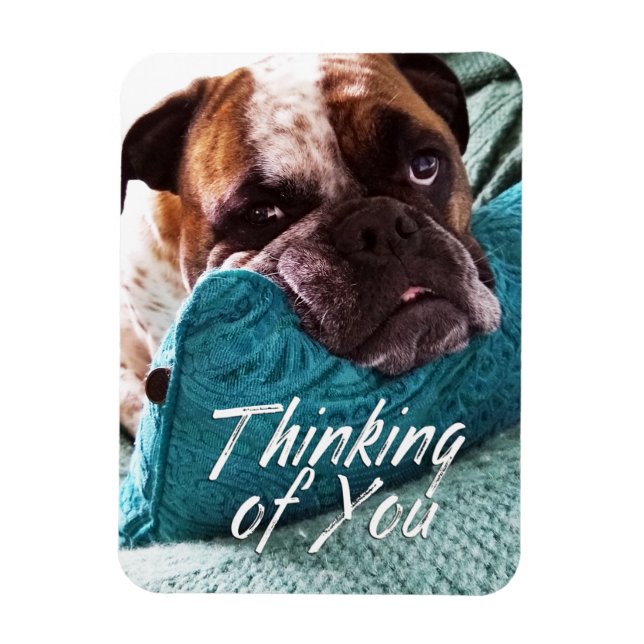 Flexible Penser à vous Bulldog Photo Magnet (Vertical)