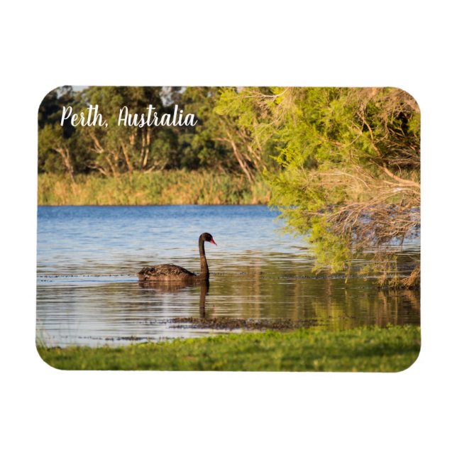 Flexible Perth Black Swan Australie Magnet (Horizontal)