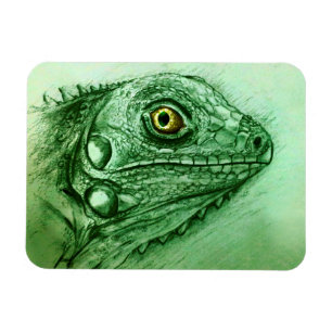 Flexible Realistic Green Reptile art Photo Magnet - Iguana