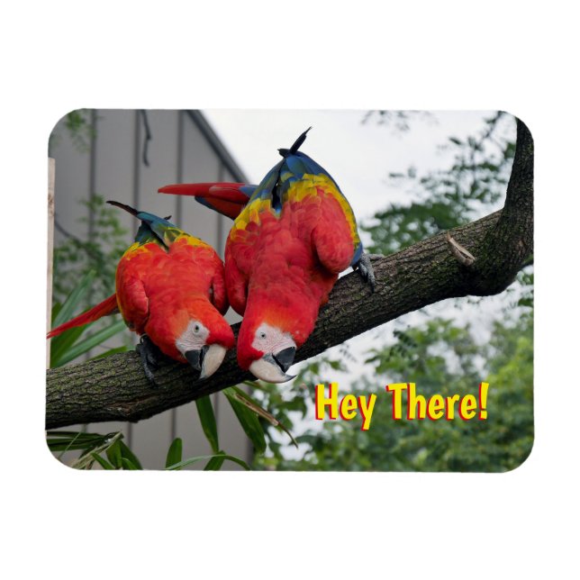 Flexible Red Macaws Magnet (Horizontal)