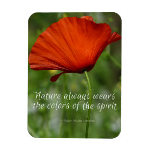 Flexible Red Poppy Emerson Nature Magnet
