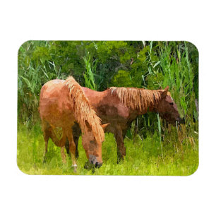 Flexible Réfrigérateur Magnet Assateague Chevaux sauvages