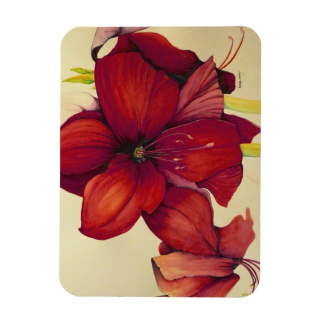 Flexible Rouge Noël Amaryllis Magnet photo (Vertical)