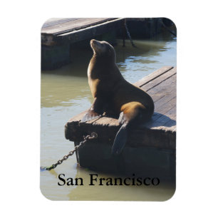 Flexible San Francisco Pier 39 Lion de mer #2 Magnet