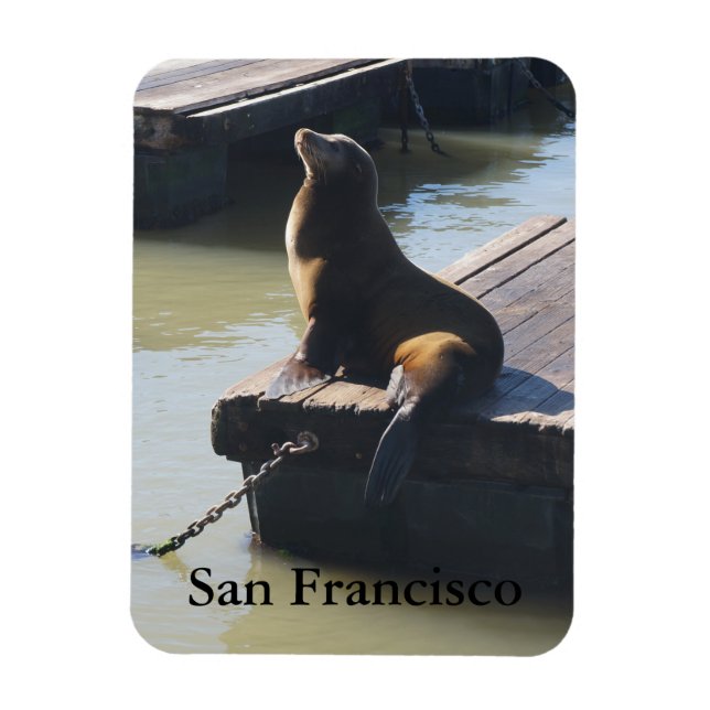 Flexible San Francisco Pier 39 Lion de mer #2 Magnet (Vertical)