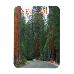 Flexible Sequoia/Kings Canyon National Park Magnet