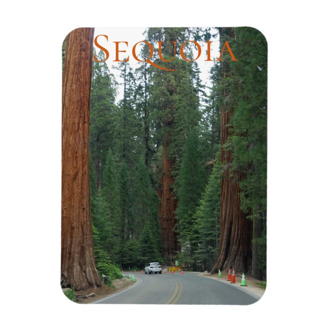 Flexible Sequoia/Kings Canyon National Park Magnet (Vertical)