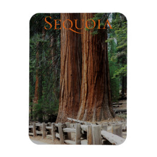 Flexible Sequoia/Kings Canyon National Park Magnet