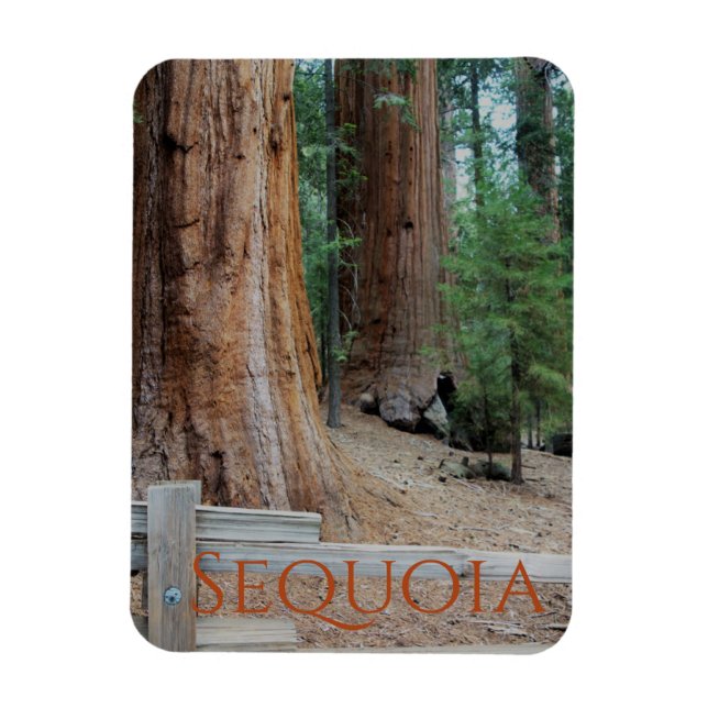 Flexible Sequoia/Kings Canyon National Park Magnet (Vertical)